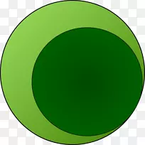 圆形椭圆形绿色细胞载体
