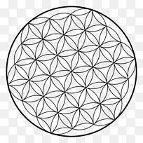 神圣几何重叠圆网格花分形几何
