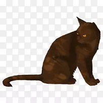 猫科战士，一星泥爪，艾琳猎手-猫