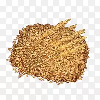 麦麸籽燕麦粒