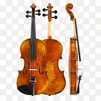 小提琴中提琴低音乐器低音弦乐器小提琴演奏者