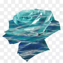 绿松石电蓝提尔钴蓝-海玫瑰