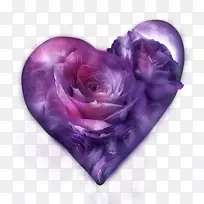玫瑰紫色t恤花薰衣草紫玫瑰