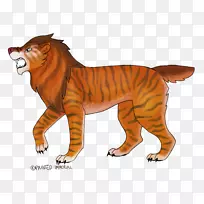 猫虎狮食肉动物画的狮子
