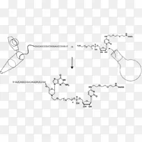 北尔斯坦有机化学学报科学期刊摘要数字