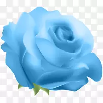 蓝色玫瑰插花艺术-蓝色玫瑰