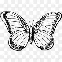 蝴蝶画线艺术黑白剪贴画-简单的气氛