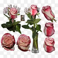 切花花卉设计花园玫瑰艺术生日花