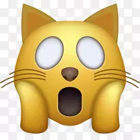 猫面带着喜悦的泪水表情iphone-猫的手
