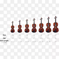 弓形小提琴大提琴弦乐器中提琴尺寸图表设计元素