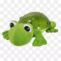 青蛙Amazon.com海龟轻盈宁静