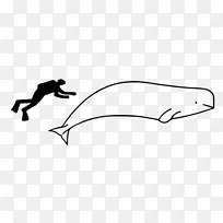 画动画鱼线动物白鲸-卡通鲸