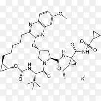 丙型肝炎病毒NS3蛋白酶抑制剂酶抑制剂