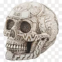头盖骨颅骨雕像雕塑进化商店-阿兹特克