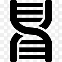 DNA核酸双螺旋核酸序列遗传学-序列载体