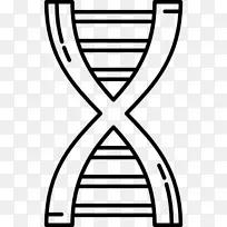 DNA核酸序列遗传学生物学载体
