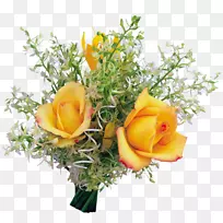 玫瑰花罗莎亚瑟贝尔画郁金香鸟和花