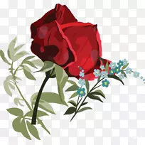 花园玫瑰，花蜈蚣，玫瑰剪贴画-美丽的玫瑰