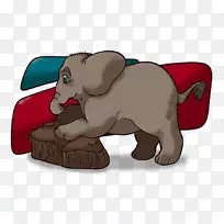 印度象马-大象插图