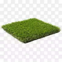 草坪人造草坪露台花园地毯郁郁葱葱的草地