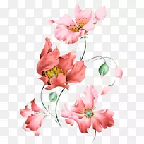 花卉海报摄影.花瓣.水彩画