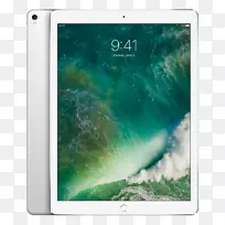 iPad Pro(12.9英寸)(第二代)苹果10倍苹果铅笔-iPad银色