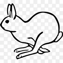 欧洲野兔复活节兔子剪贴画-兔子创意