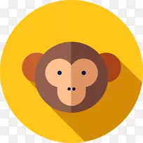 电脑图标猴车保险车灵长类猴