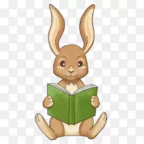 野兔在家学习教育-新鲜小兔