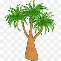 木本植物槟榔科植物茎棕榈林