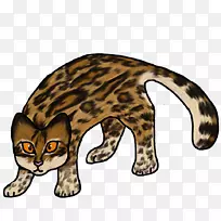 西洛野猫猎豹美洲虎衬衫埃及