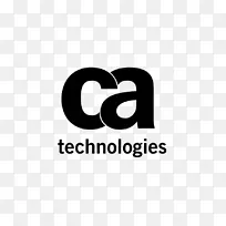 CA技术项目组合管理计算机软件身份管理计算机安全-Evernote