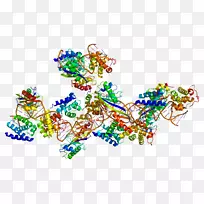 TATA结合蛋白转录因子II b转录因子II d维生素