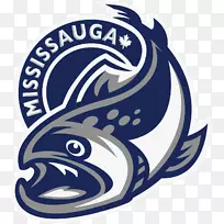 好时中心米西索加钢头安大略曲棍球联盟渥太华67的盖尔夫风暴色鱼