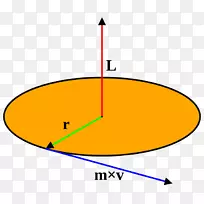 角动量圆运动角加速度围绕固定轴转动动量