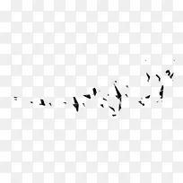鸟类迁徙动物迁徙喙白色图解