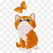 小猫哈瓦那棕色猫剪贴画-可爱的猫