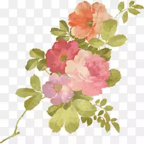 水彩画花水彩画-血信生日快乐