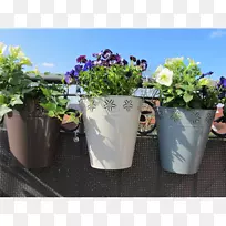 花盆塑料人造花陶瓷紫花盒