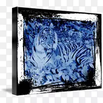 虎大猫艺术-虎纹