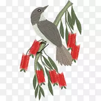 鸟机刺绣鹦鹉图案彩绘梅花