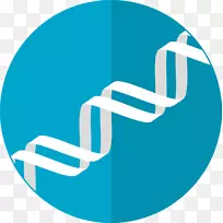 遗传学计算机图标dna核酸双螺旋-dna载体