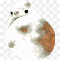 水鸟喙动物素描材料