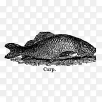 陆生动物鱼类生物-鱼类标签