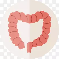 大肠胃肠道小肠人体计算机图标类人图标