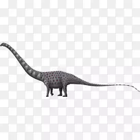 迷惑龙超龙恐龙-侏罗纪动物