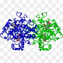 环氧化酶-前列腺素内切合酶2阿司匹林ptgs 1-柳树树皮作用机制的研究