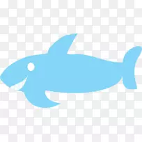 海豚-海洋-海豚海洋生物-新鲜