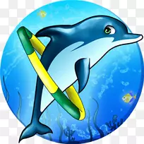 普通宽吻海豚短喙普通海豚批发海洋海豚展