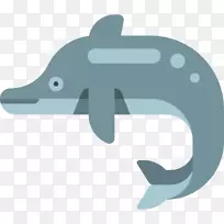 海豚计算机图标.海豚